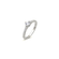 anel.png