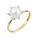 AFNI883_0001--1-